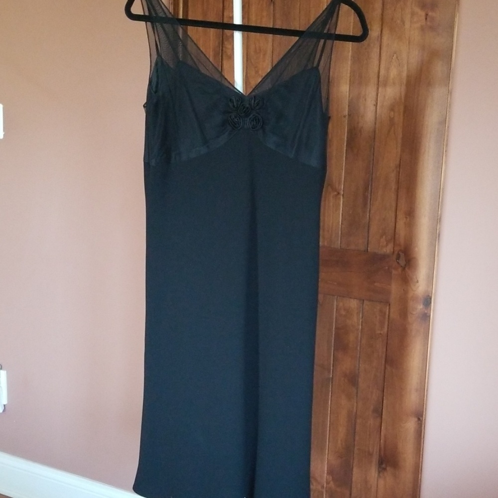 Gorgeous Evan Picone Party  dress.